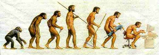 Evolution of a chimp into a human hunched over on a computer
