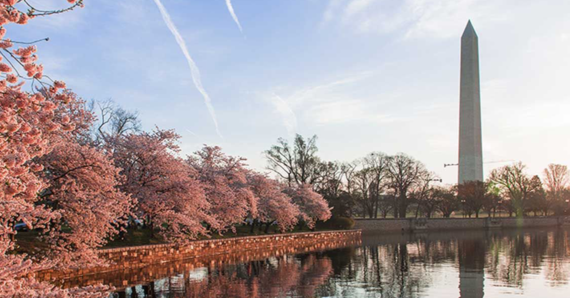 washington monument behind the tidal basin with cherry blossoms