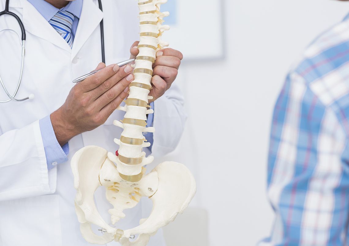 Doctor pointing to a model of a spine