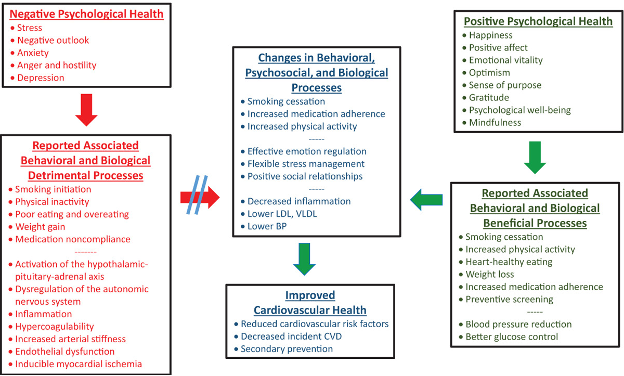 Levine, G. N., Cohen, B. E., Commodore-Mensah, Y., Fleury, J., Huffman, J. C., Khalid, U., ... & American Heart Association Council on Clinical Cardiology; Council on Arteriosclerosis, Thrombosis and Vascular Biology; Council on Cardiovascular and Stroke Nursing; and Council on Lifestyle and Cardiometabolic Health. (2021). Psychological health, well-being, and the mind-heart-body connection: a scientific statement from the American Heart Association. Circulation, 143(10), e763-e783.